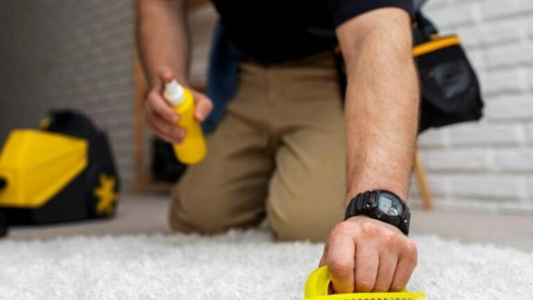 How to Choose the Right Carpet Cleaning Services