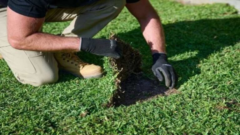 Turf Supplies