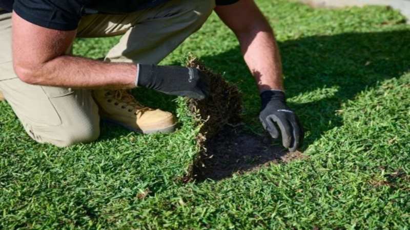 Turf Supplies