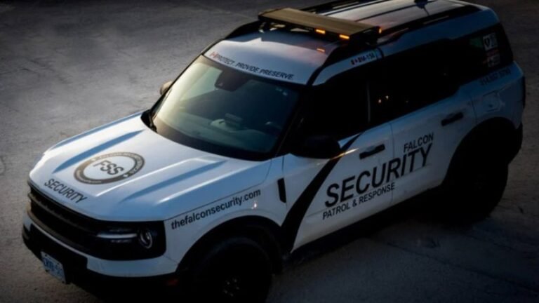 Professional Security Companies