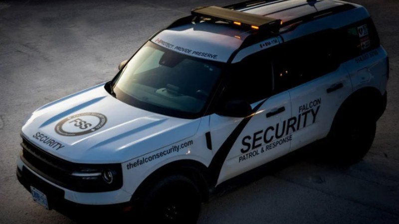 Professional Security Companies