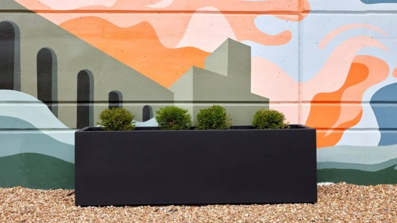 4 Design Elements That Instantly Elevate an Outdoor Living Area