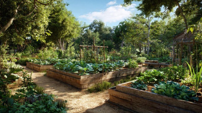 10 Essential Tips Before Building a DIY Greenhouse