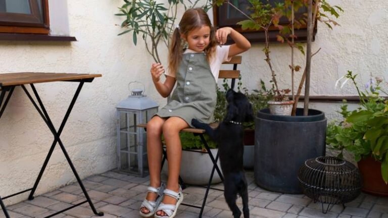 Five Essential Elements Your Patio Needs to Become a Loved Part of Your Home