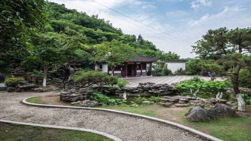 How to Create a Beautiful and Functional Backyard with Landscape Design